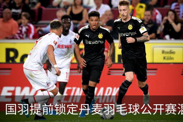 国羽提前锁定丹麦羽毛球公开赛混双冠军