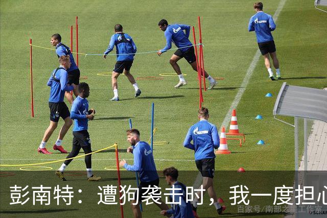 彭南特：遭狗袭击时，我一度担心会截肢