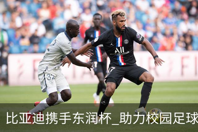 比亚迪携手东润杯 助力校园足球少年圆梦工体