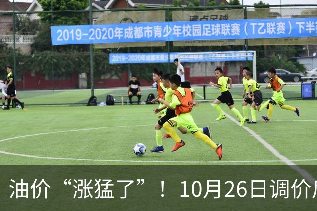 油价“涨猛了”！10月26日调价后92,95号汽油价格，蛋价突然“升温”，超跌大涨？
