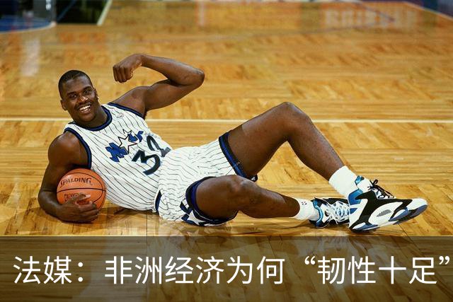 法媒：非洲经济为何“韧性十足”？