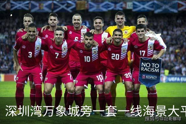 深圳湾万象城旁一套一线海景大平层拍卖，最终成交价拿到5827万