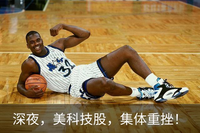 深夜，美科技股，集体重挫！