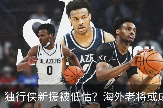 独行侠新援被低估？海外老将或成最大惊喜