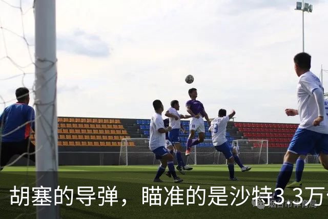 胡塞的导弹，瞄准的是沙特3.3万亿美元的“2030愿景”